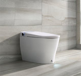 DA90 Smart toilet