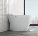Z50 Smart toilet