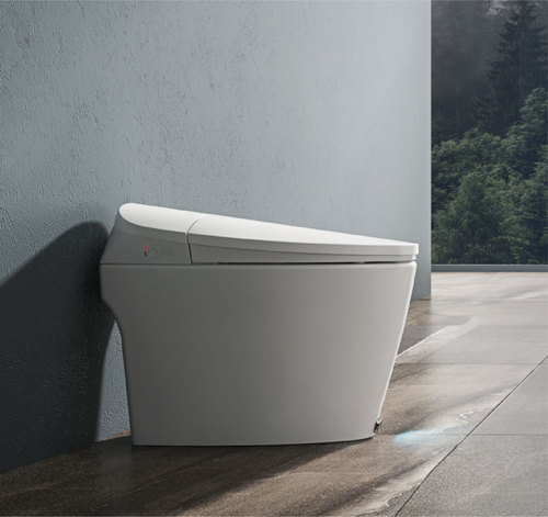 K81 Smart toilet