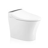 2022 Fashion Modern Bathroom Smart Toilet Bidet Sanitary Ware Automatic Toilet Ceramic Intelligent T