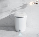 YY3-81 Smart toilet