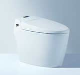 H70 Smart toilet