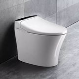 Modern bathroom suspended sanitary ware designs one piece hanging toilet bowl automatic p-trap smart