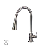 Pull Out Kitchen Faucets 82H16-N
